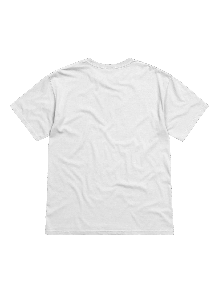 KING GIZZARD AND THE LIZARD WIZARD T-SHIRT (CAVS) product image (5)