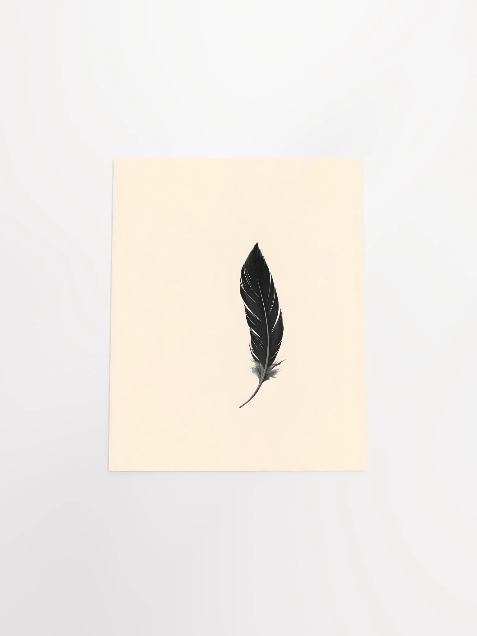 Elegant Black Feather product image (26)