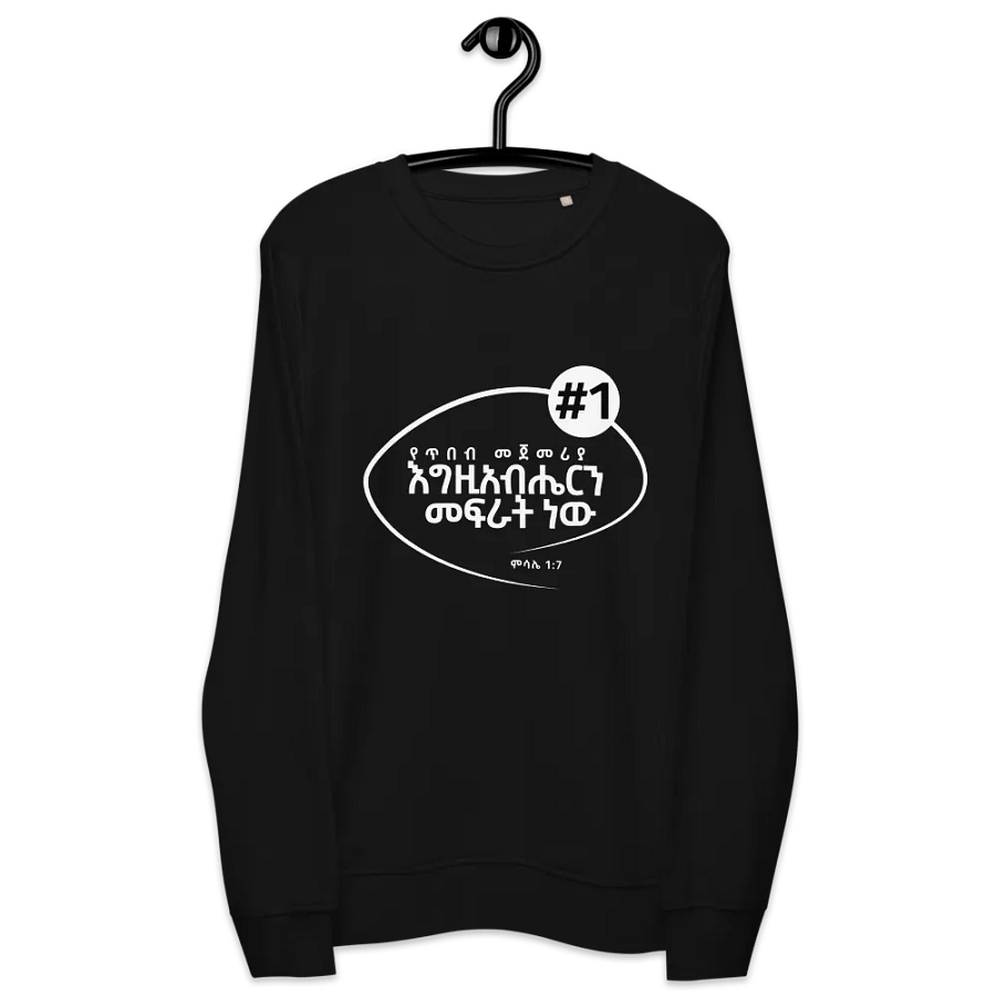 'Proverbs 3:24' crewneck product image (12)