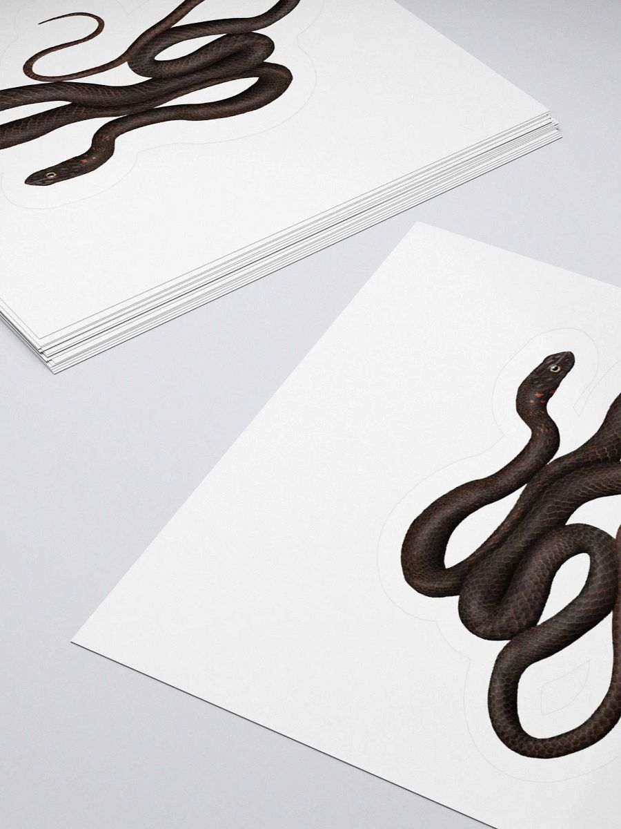 Die-Cut Sticker – Black Coachwhip product image (4)