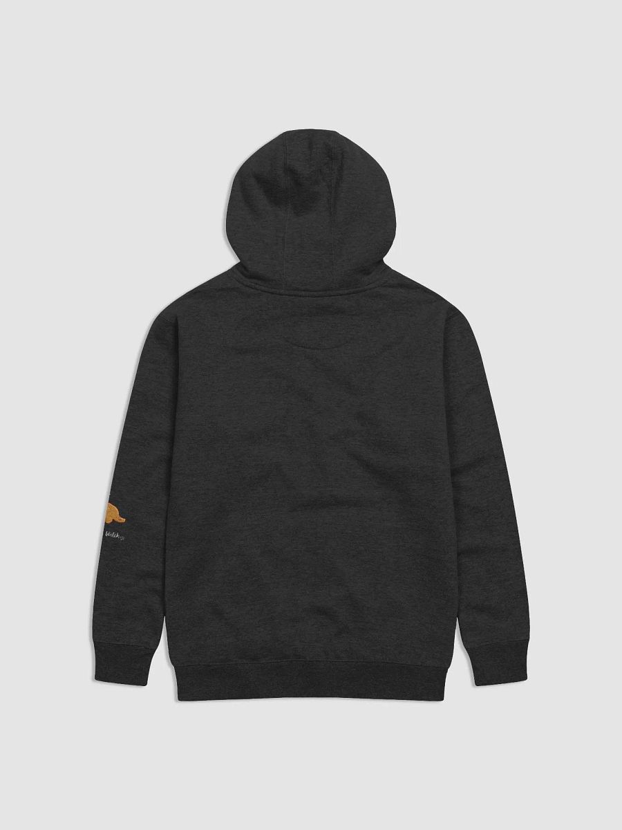 Coven Hoodie product image (2)