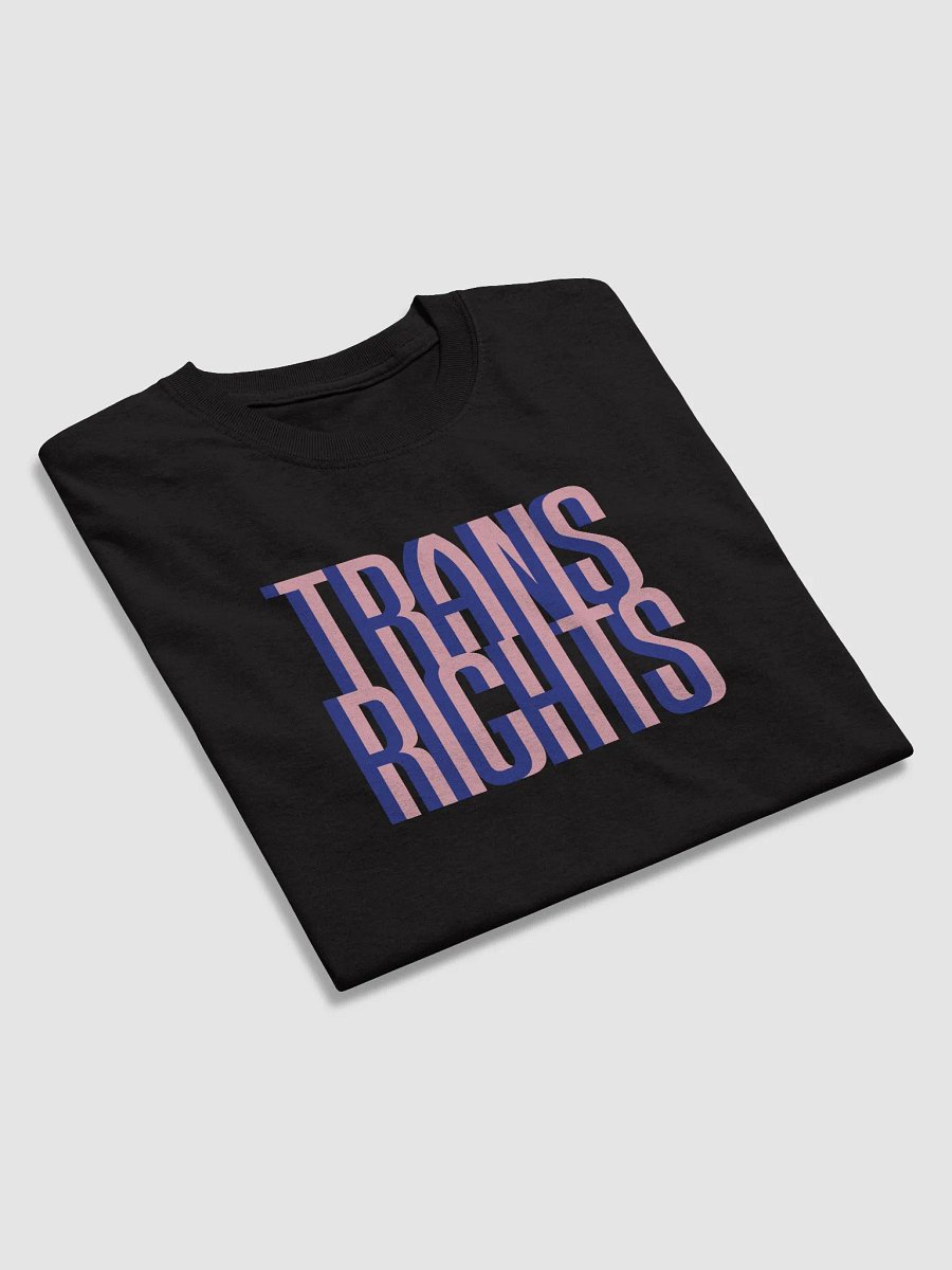 Trans Rights T-shirt product image (4)