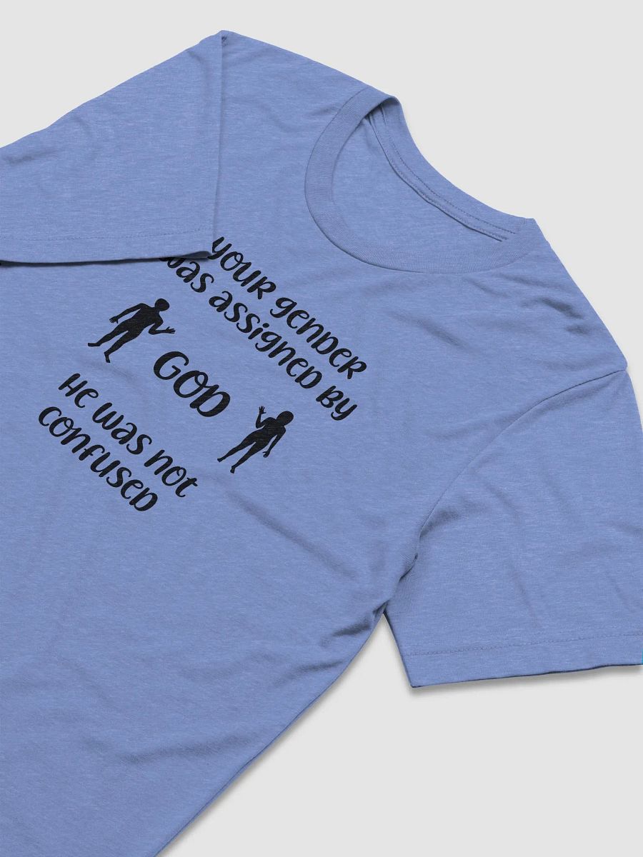 Your Gender Was Assigned by GOD. Tri-Blend Tee product image (3)