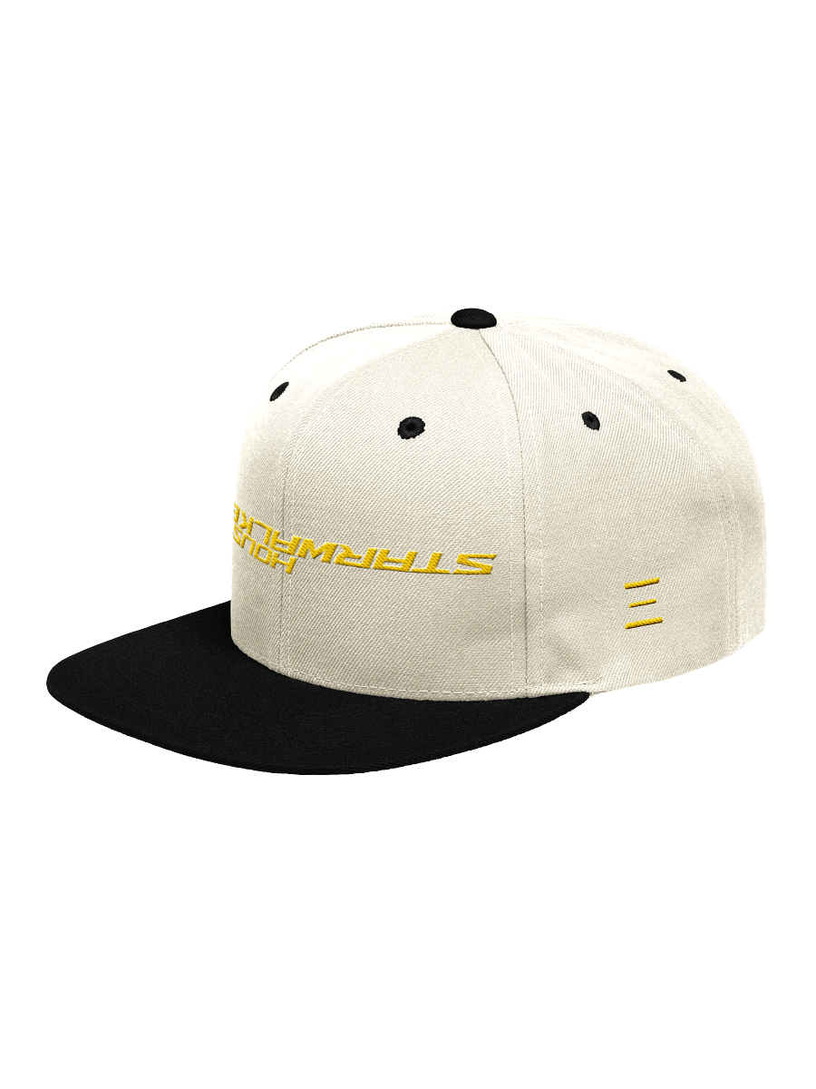 Capsmas 2024 Day 1: VGL Forever Snapback (Houston) product image (3)