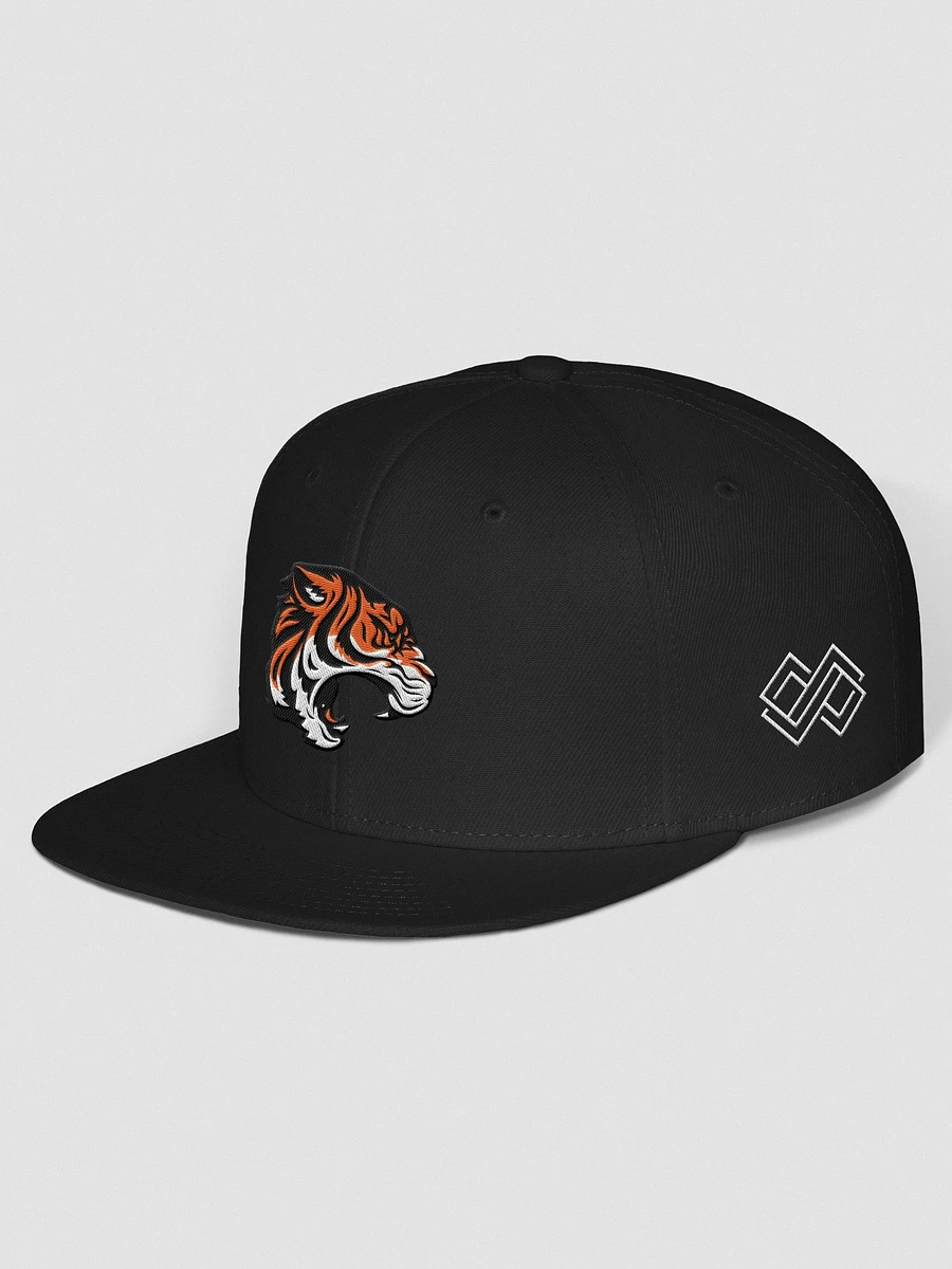 Wichita Wild Chosen Snapback Hat product image (9)