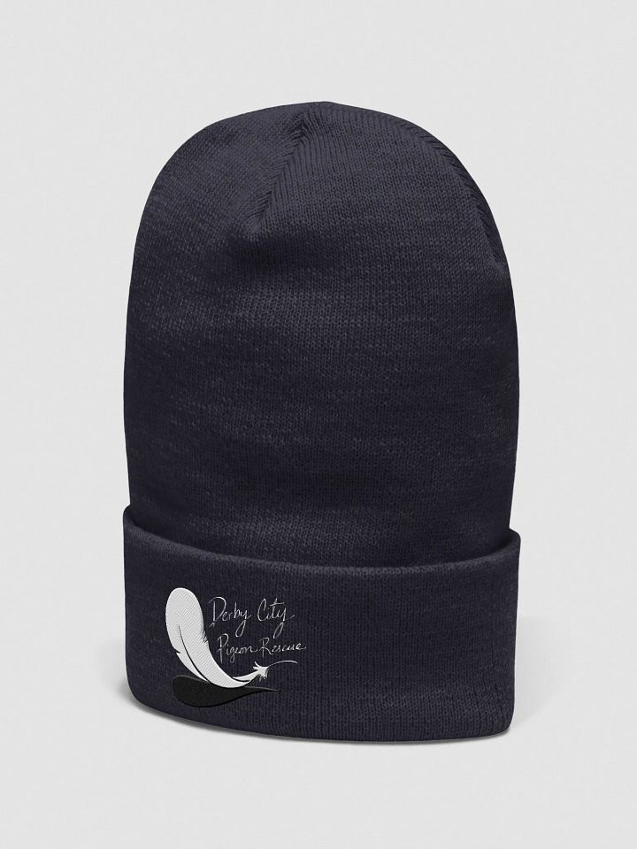 DCPR Embroided Logo Beanie product image (12)