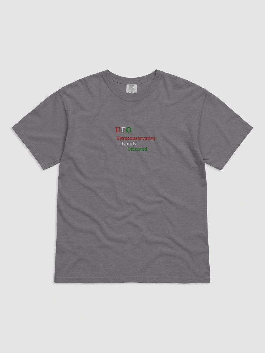 UFO Ultraconservative Family Oriented Men's Tee product image (1)