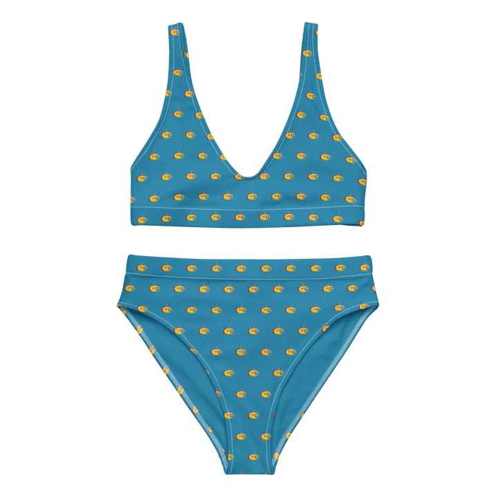 MSLA Subby Series - High Waisted Bikini product image (1)