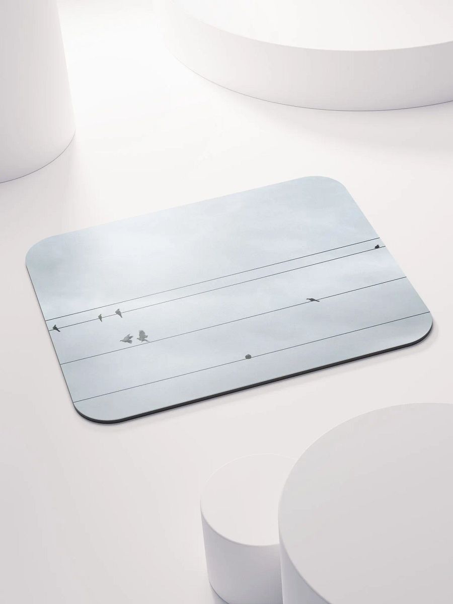 Bird Power product image (4)
