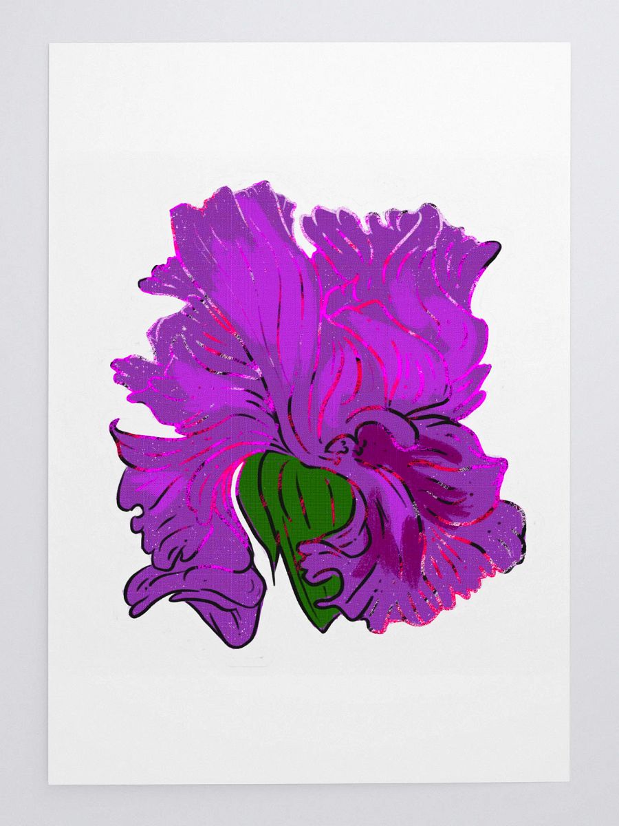Iris Lilly product image (3)