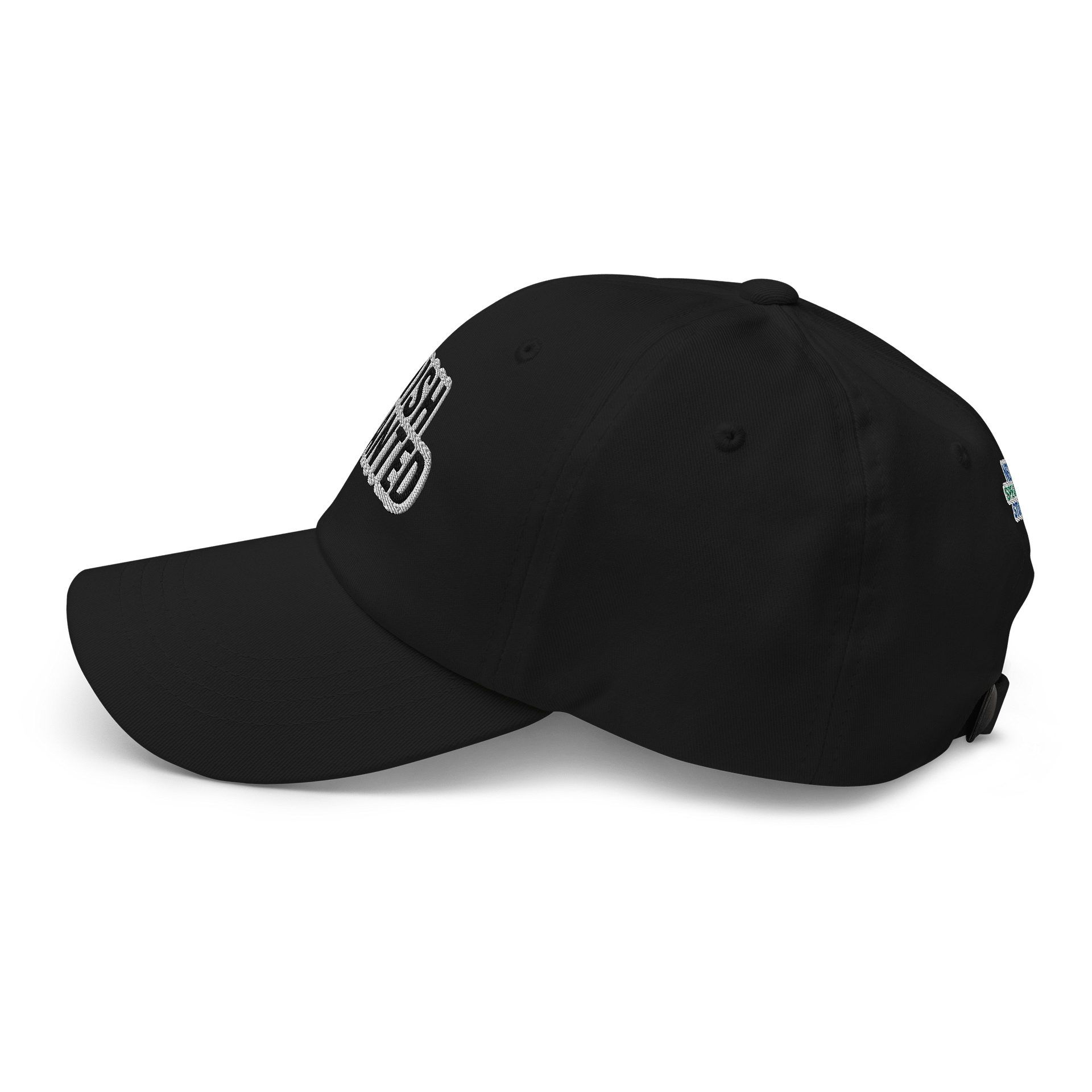 WISH GRANTED Hat product image (4)