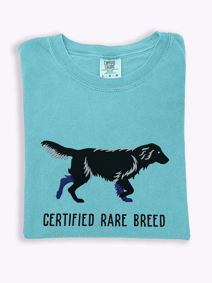 Certified Rare Breed T-Shirt(Embroidered) of a Flat-Coated Retriever(Black) product image (1)
