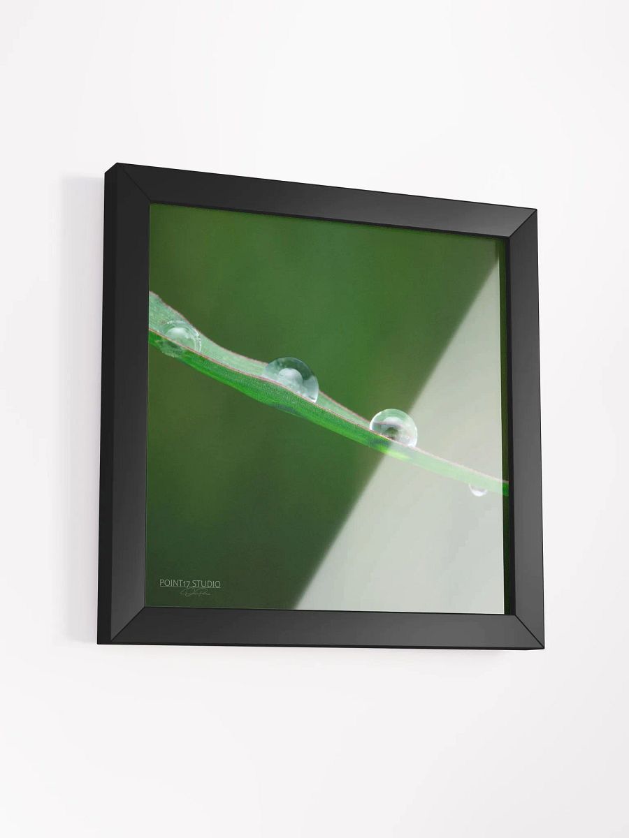 Dew Gems #5 - Framed Print product image (3)