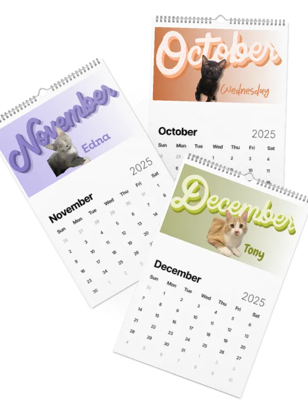 2025 Rescue Cat Calendar