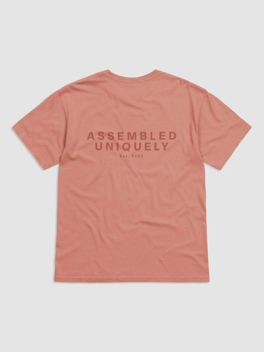 The Empire Tee (Terracotta) product image (4)