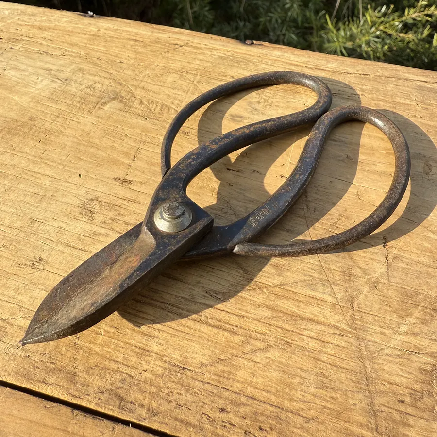 🎎 Antique Japanese garden shears - Japan Antique Roadshow Description: product image (1)