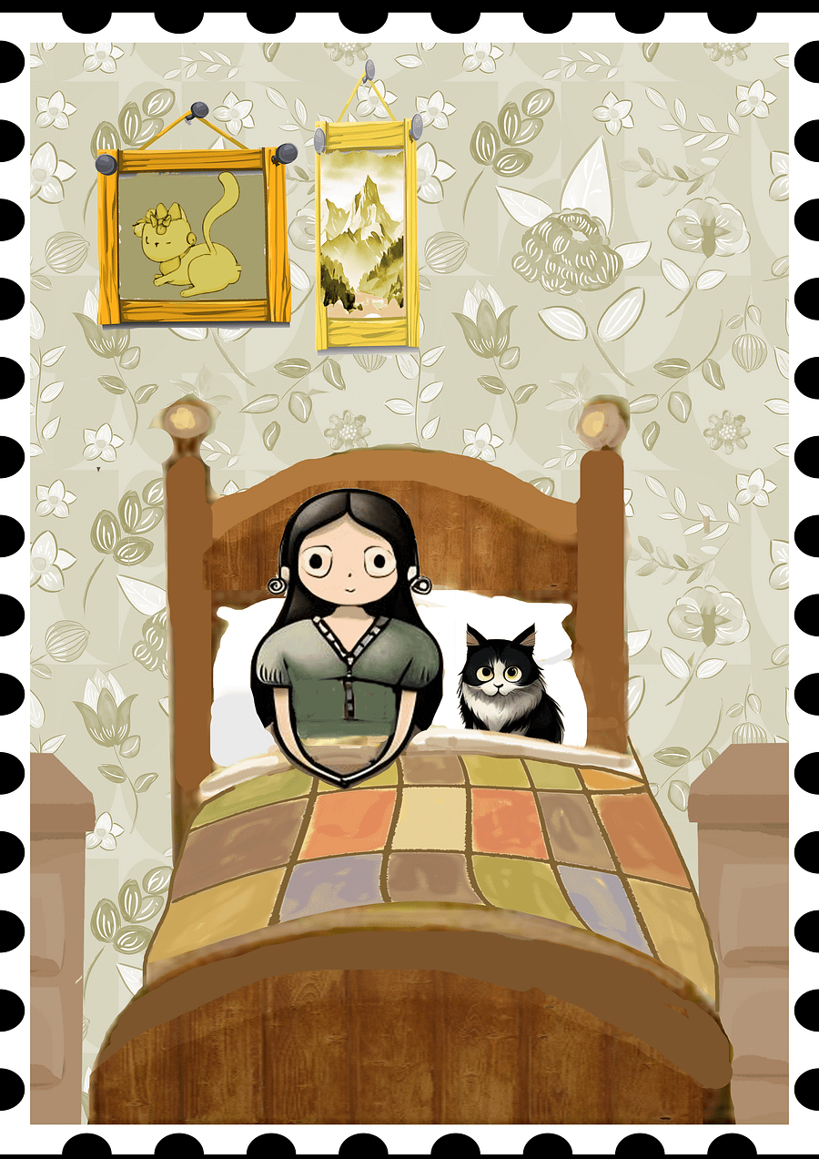 Mi gato no me deja dormir product image (1)