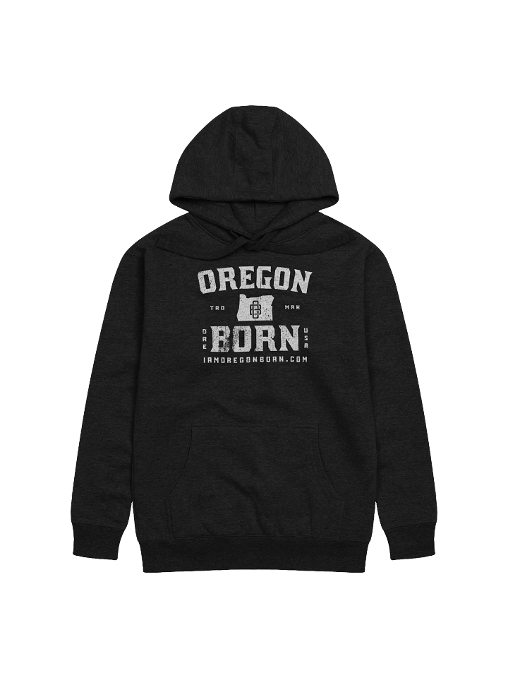 Oregon Born Vintage Collegiate - Hoodie product image (1)