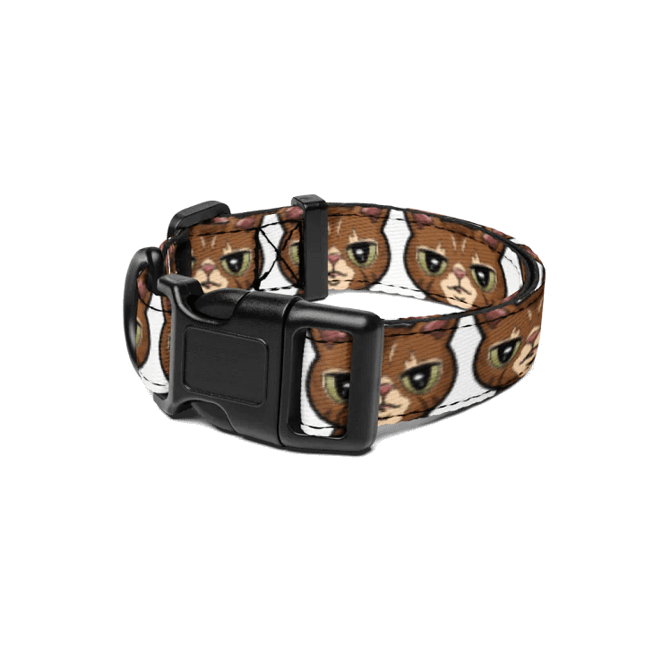 Reggie Pet Collar product image (1)