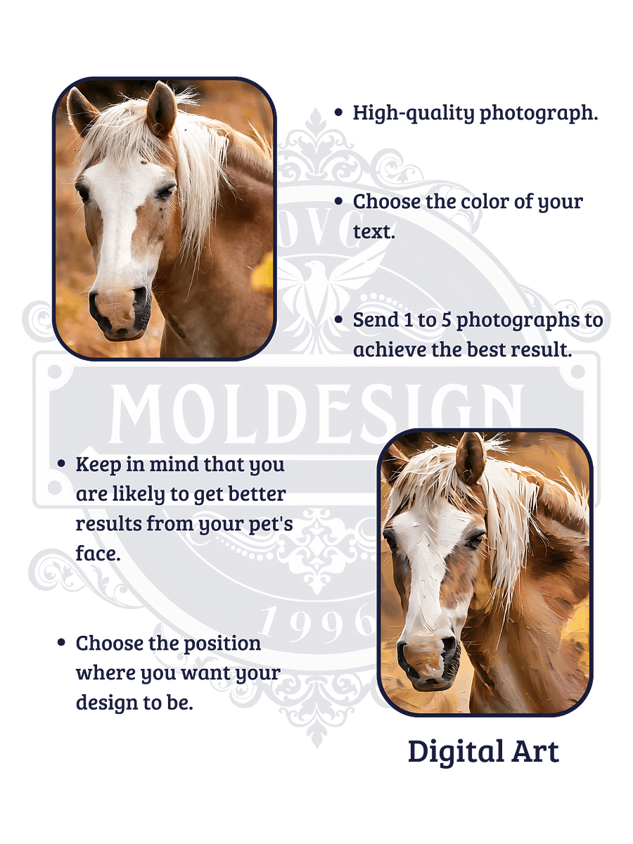 YOUR HORSE! / THROW BLANKET WITH PERSONALIZED NAME product image (4)
