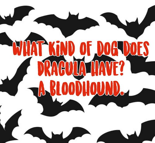 Good mornoon, all!! I hope today and this week treats you kindly! Getting back into the swing of my posts today with a season...