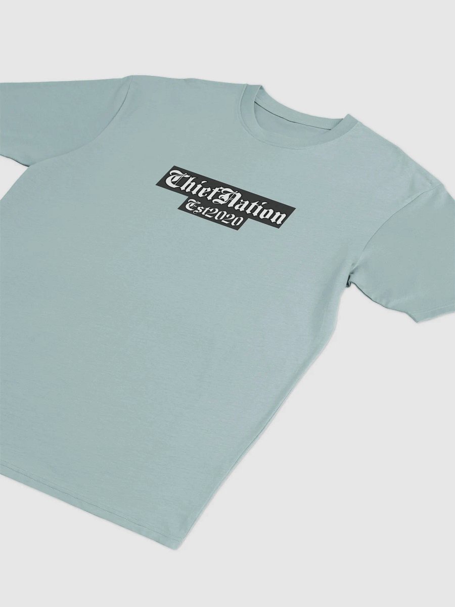 Native Identity Statement Tee ChiefNation Est2020 product image (13)