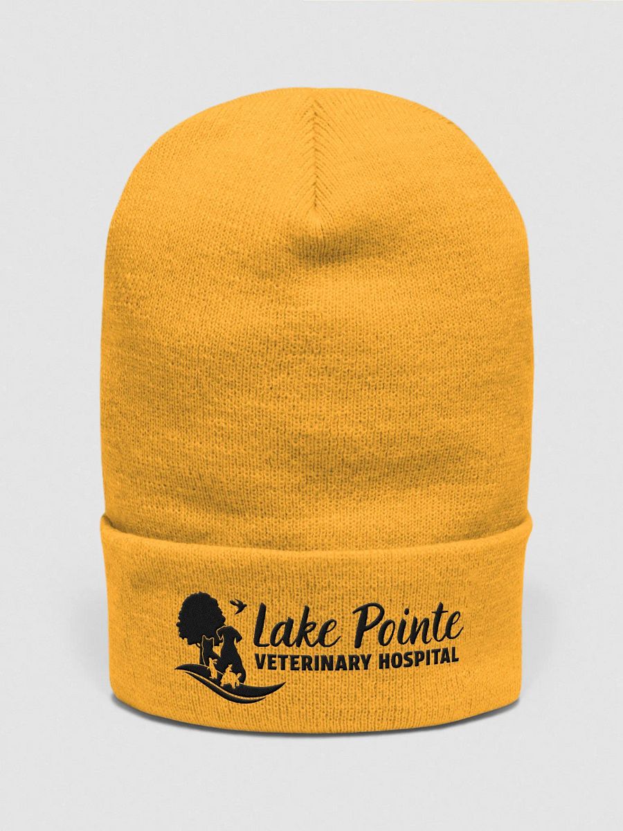 Elegant Embroidered Logo Beanie (Lighter Colors) product image (13)