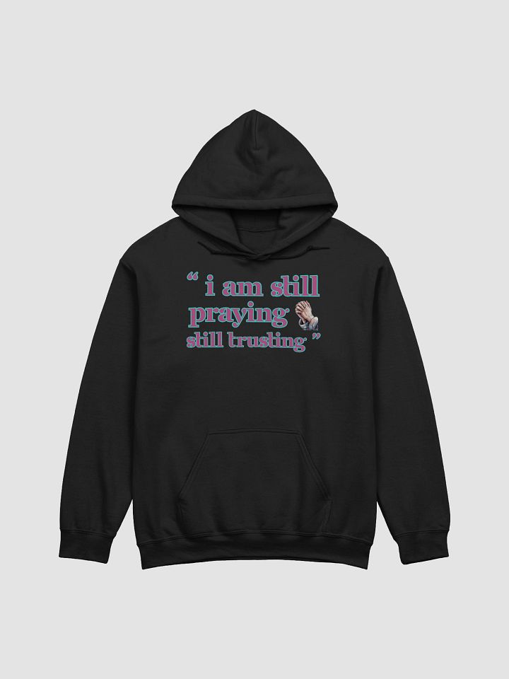 I am Still Praying, Still Trusting Gildan Hoodie. product image (1)