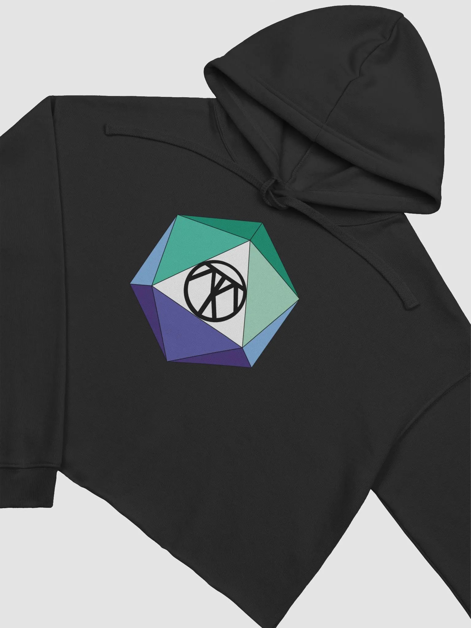 ThatoneGayD20 Crop Top product image (9)