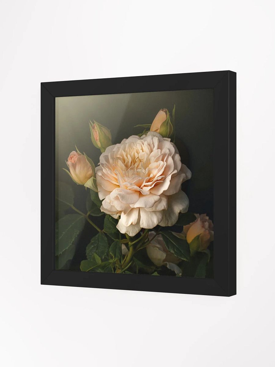 Engish Rose and Buds product image (4)