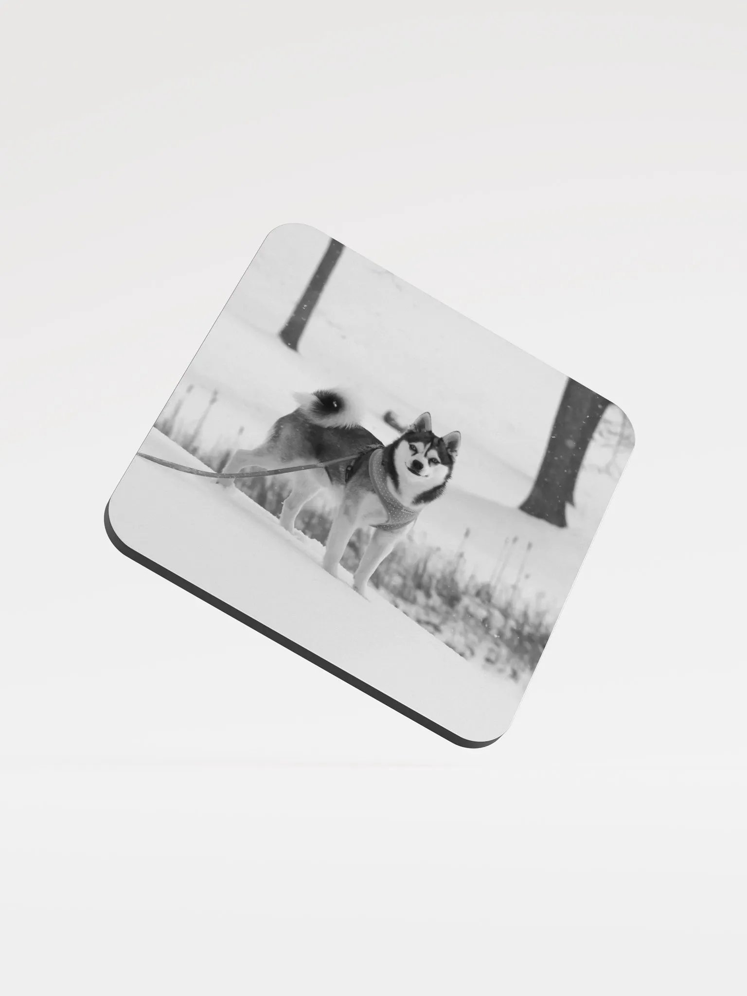 Cork Coaster - Cute Klee Kai puppy in the snow product image (1)
