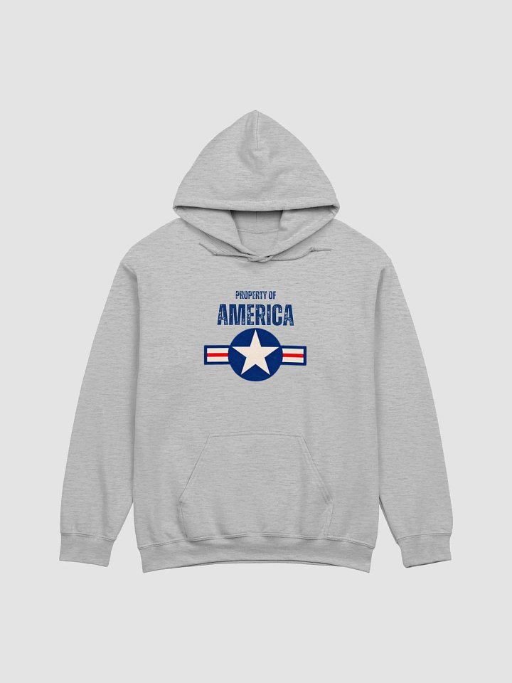 Property of America Hoodie product image (18)