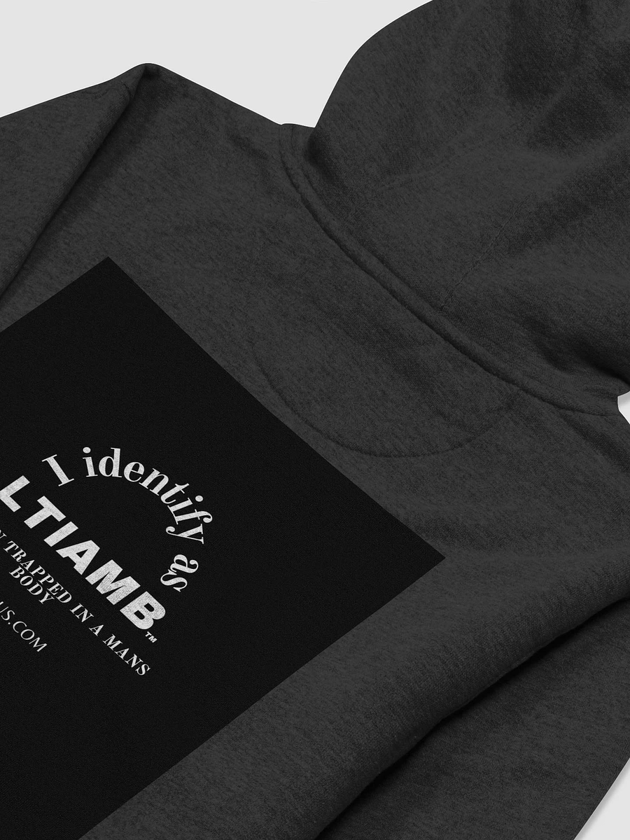 LTIAMB Hoodie product image (4)