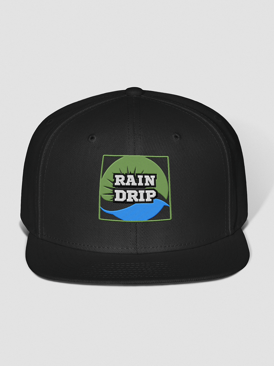 Leafy Drip Wool Snapback product image (1)