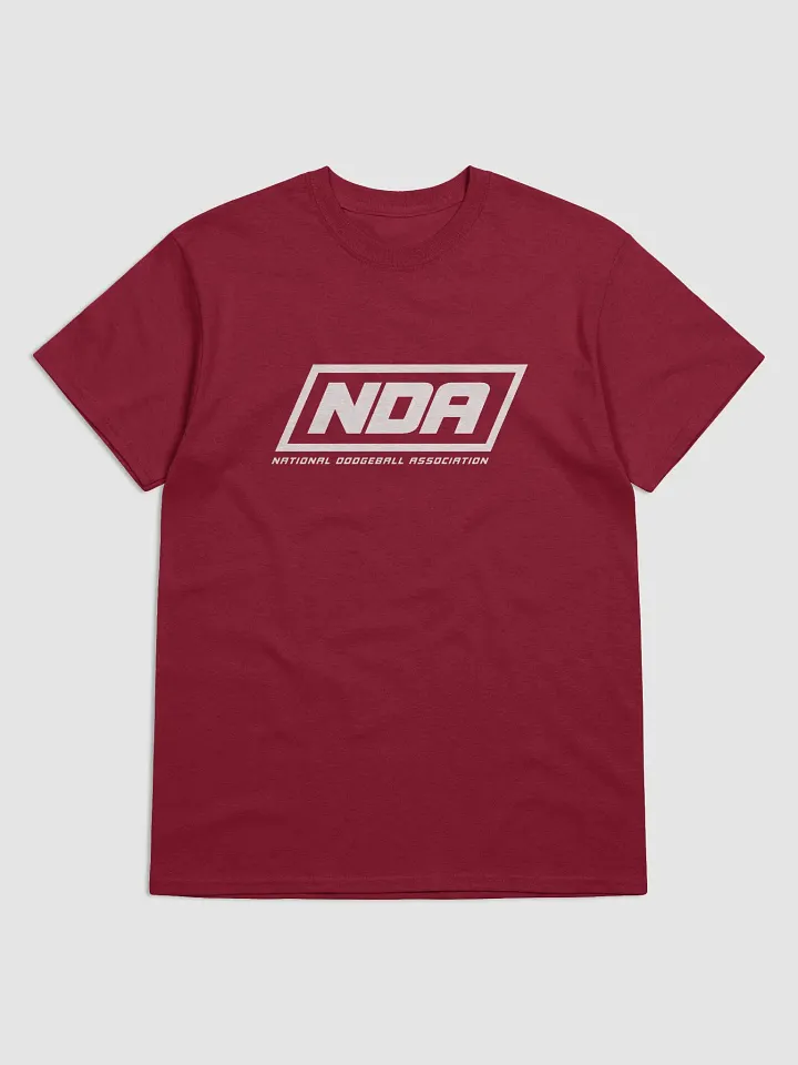 National Dodgeball Association T-Shirt (Light) product image (19)