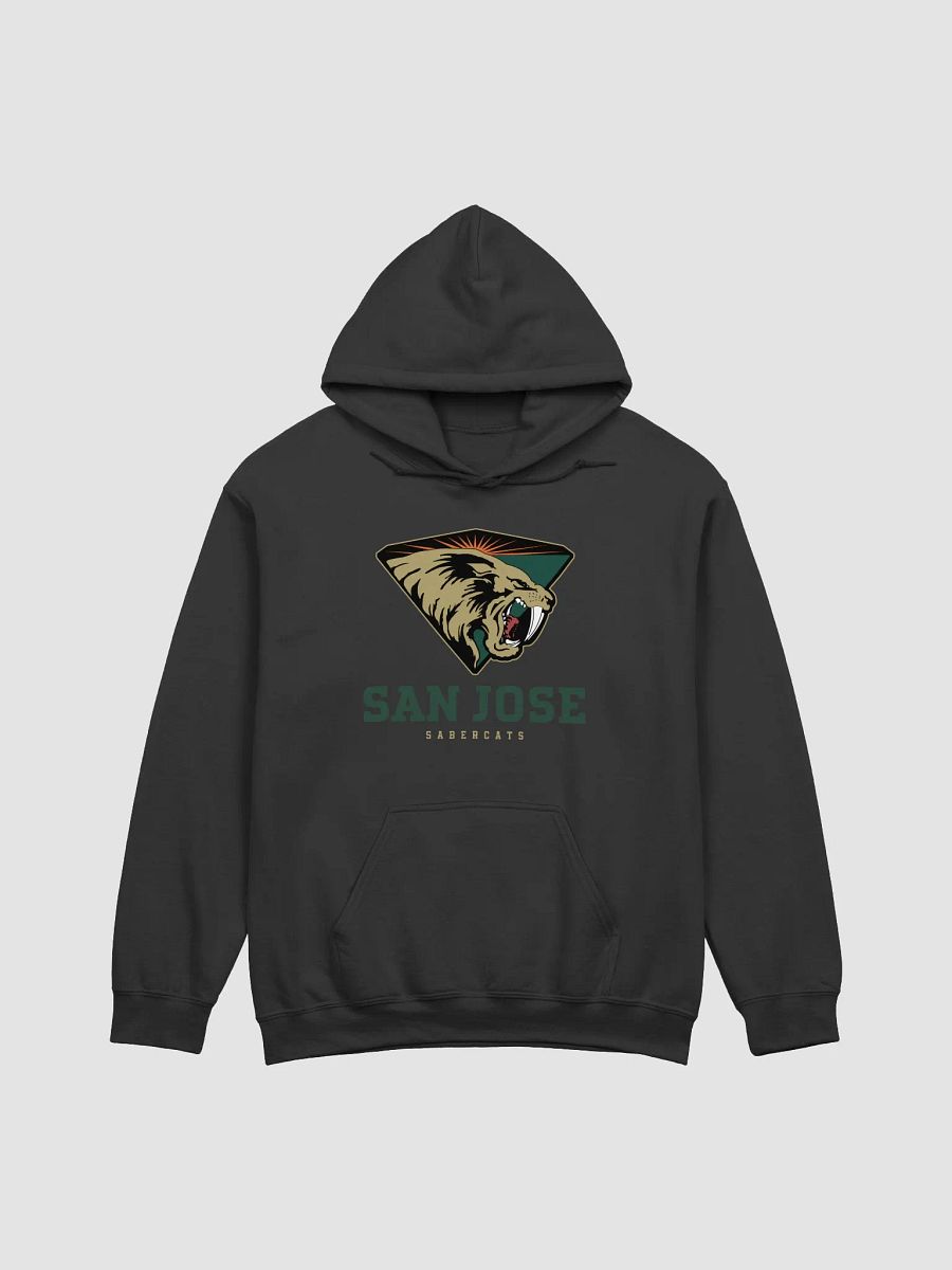 San Jose SaberCats Classic Hoodie by Gildan product image (2)