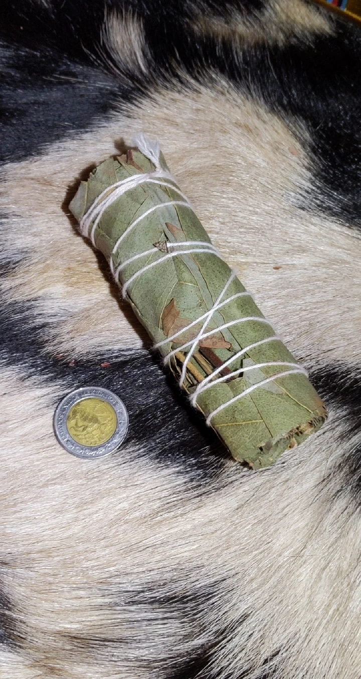 4 Inch Large Eucalyptus Smudge Stick product image (2)