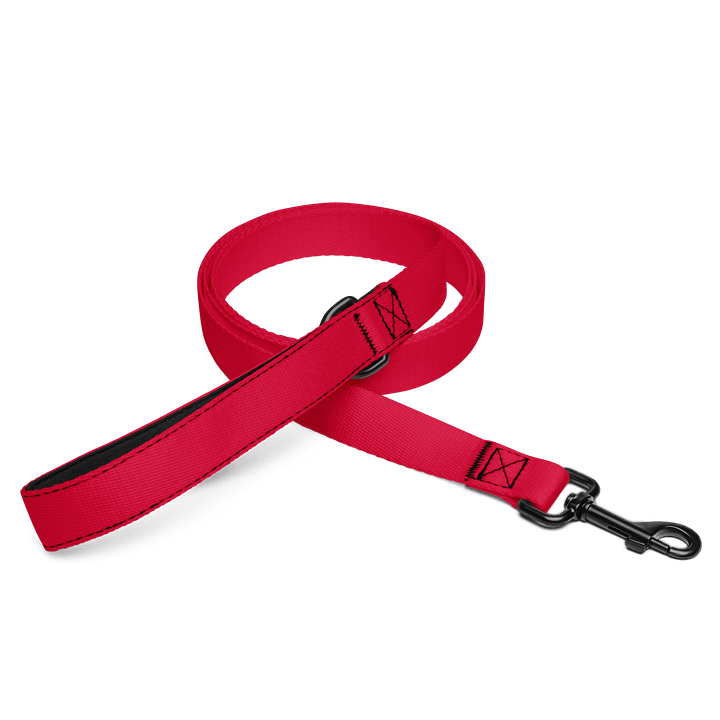 Lucky Dog Bold Red Pet Leash #008 product image (1)