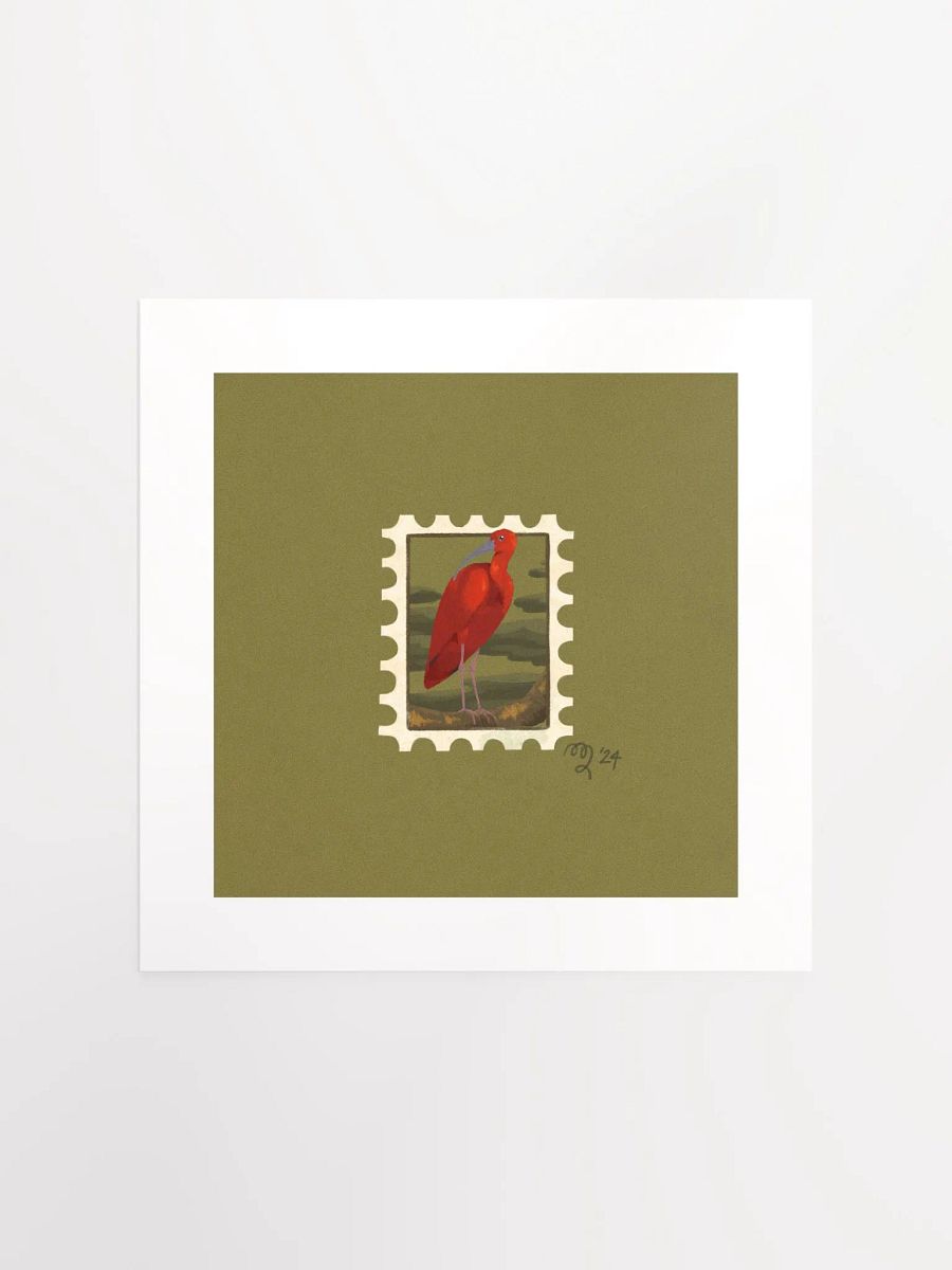 Scarlet Ibis Stamp Print – Birbfest 2024 product image (2)