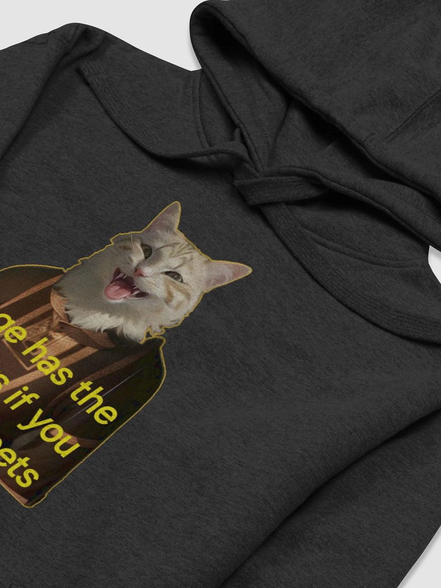 Sage Barter! Cotton Hoodie product image (3)