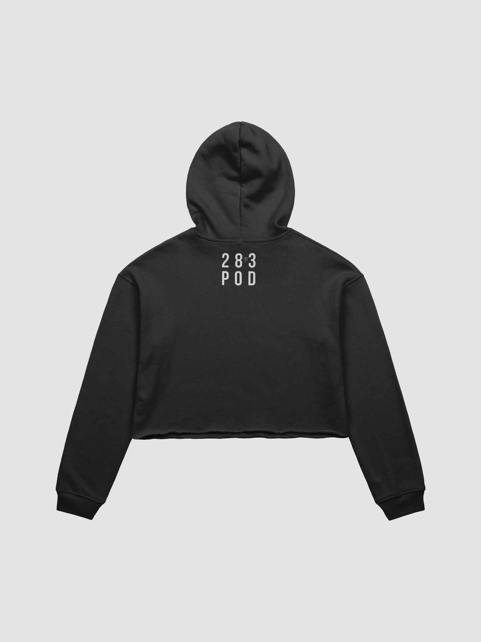 The 28 to 3 Podcast "Louisiana License Plate" Fleece Crop Hoodie product image (2)
