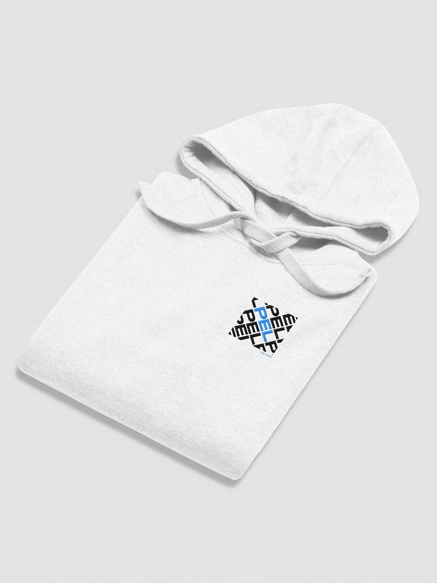 Box Embroidered Hoodie product image (3)