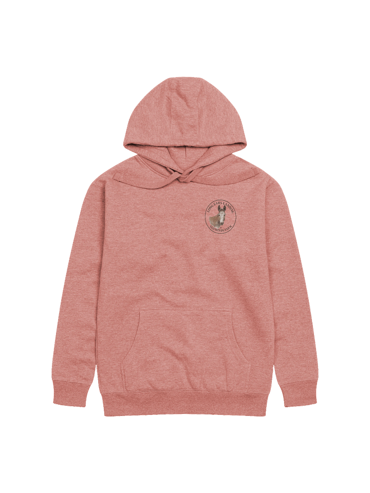 Buckwheat Small Logo Hoodie product image (1)