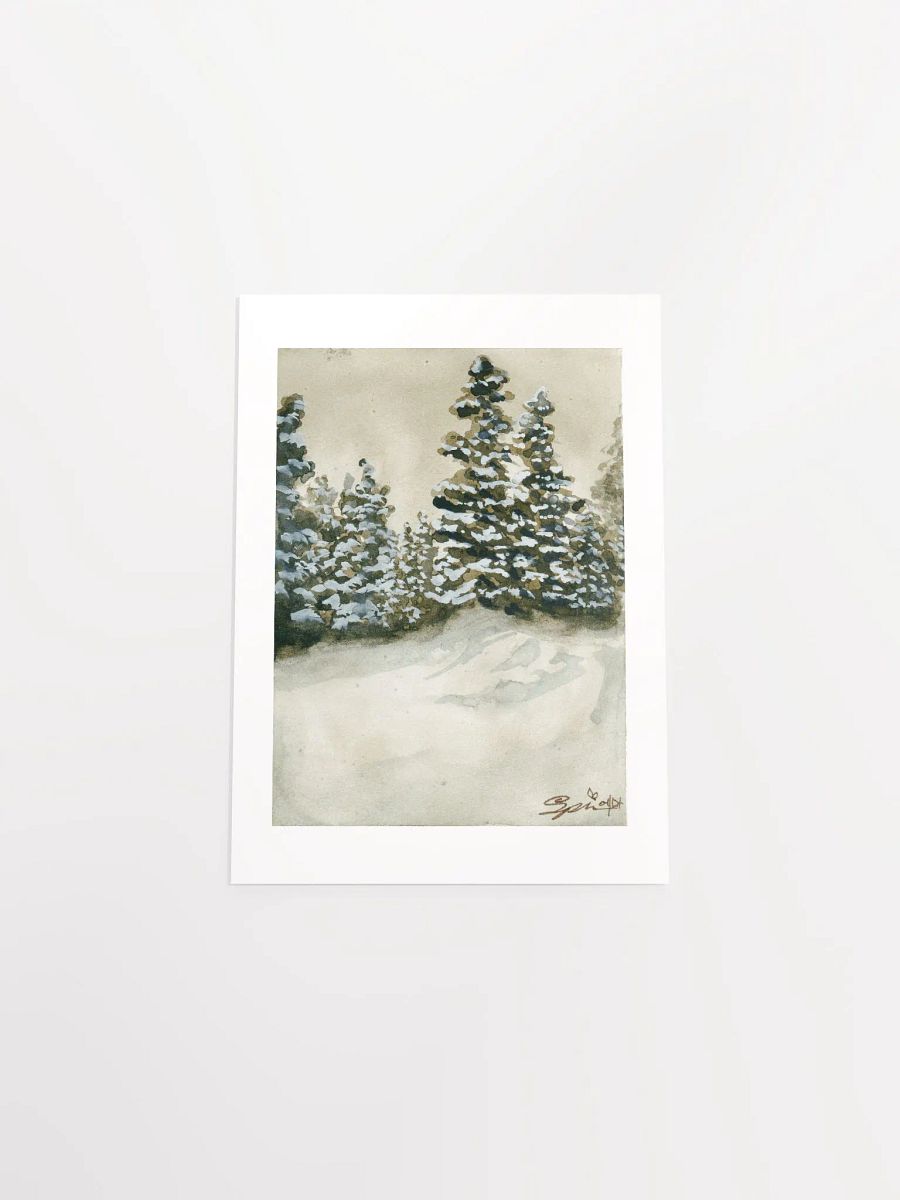 Alaska Forests product image (8)
