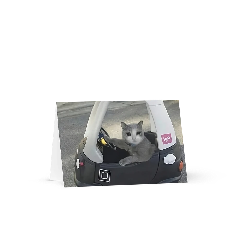 Greening Card: Meme Cats driving product image (19)