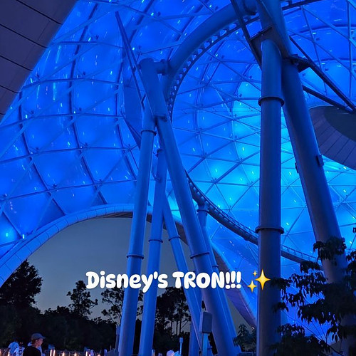 🔷️ Disney's TRON!!! 🔷️

Rated S tier, in our opinion, it's an absolute must that you try TRON if you're visiting Disney's Mag...