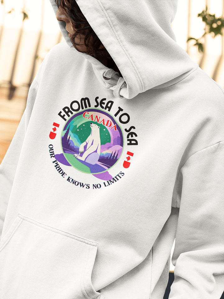 Northern Lights Bear Canada Hoodie product image (1)