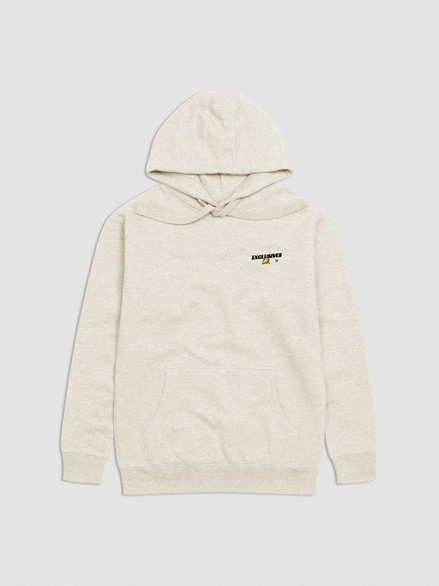 Exclusives Co. Unisex Premium Hoodie (Stitched) product image (6)