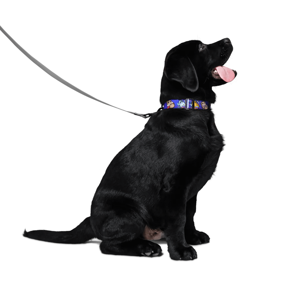 ''Patates intergalactiques'' Collier pour animal (M) product image (2)