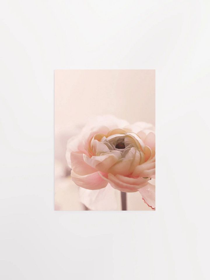 Dreamy flower Petal Delight Poster product image (4)